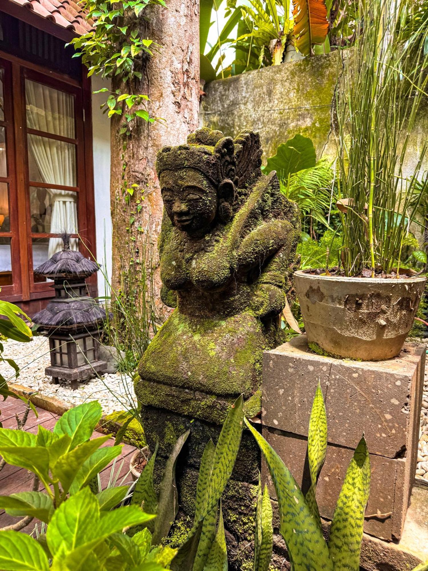 Bali Maison Ubud Zewnętrze zdjęcie