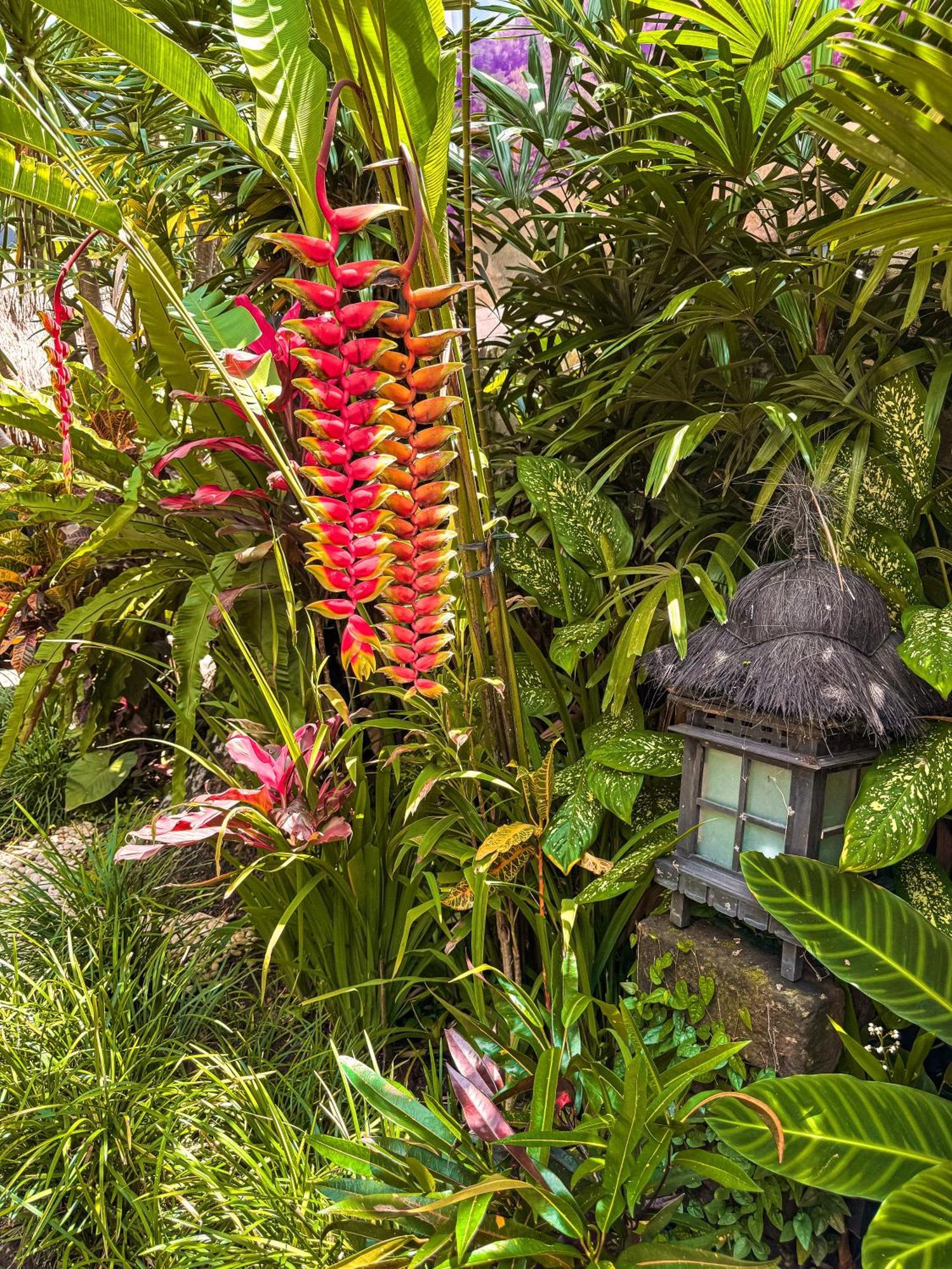 Bali Maison Ubud Zewnętrze zdjęcie